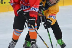 Saison 2024/25 Bild 5